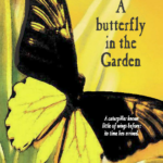 "A butterfly in the Garden" by Annie